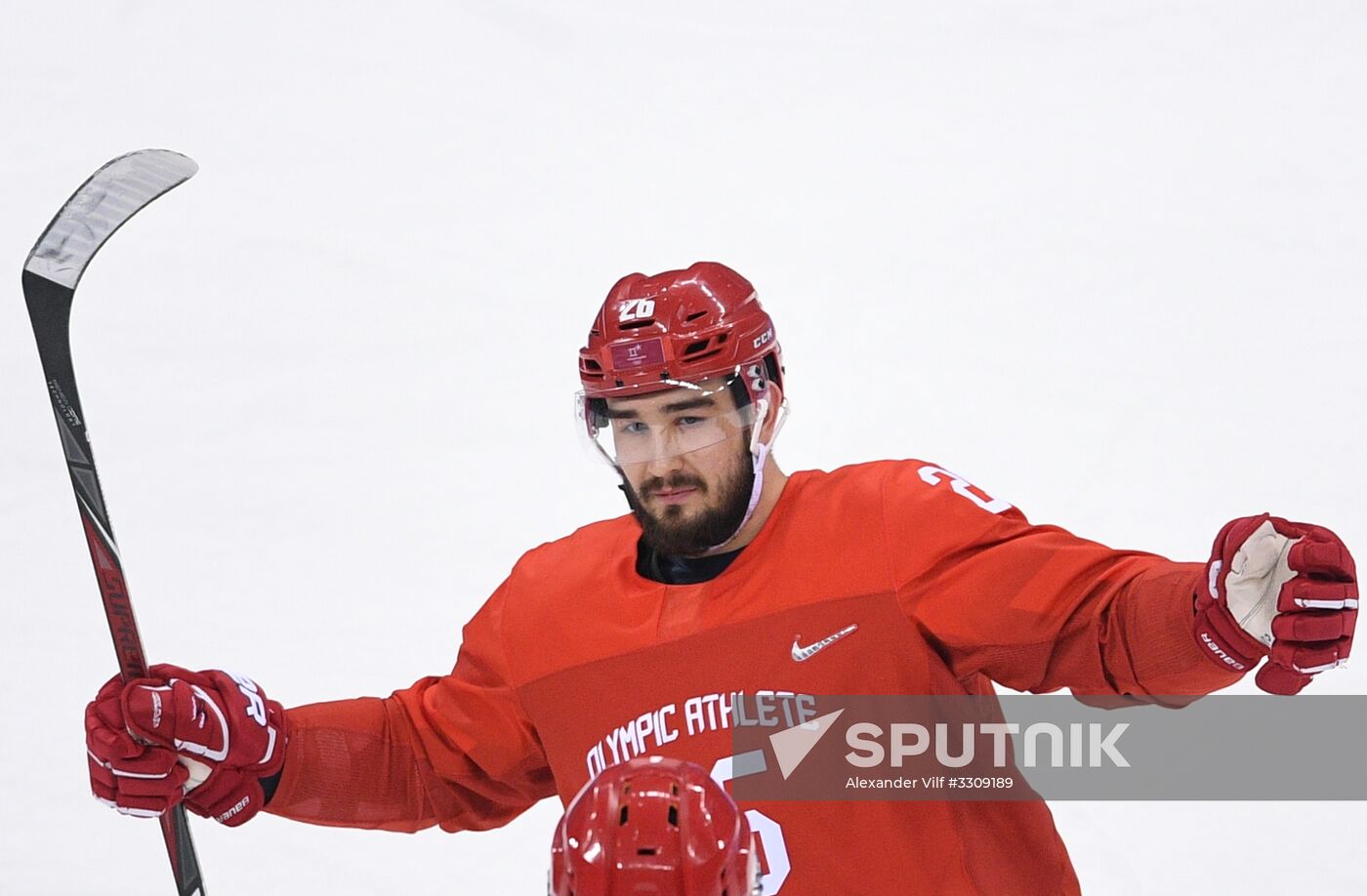 2018 Winter Olympics. Ice hockey. Men. Final