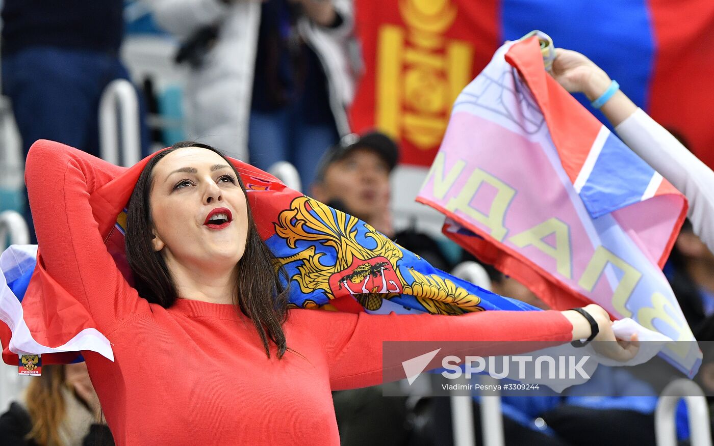 2018 Winter Olympics. Ice hockey. Men. Final