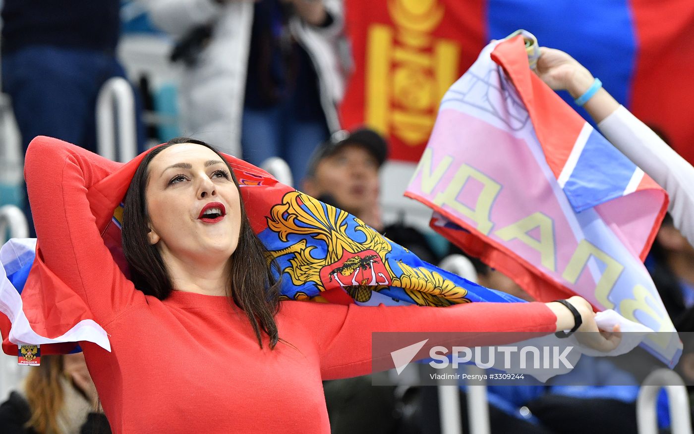 2018 Winter Olympics. Ice hockey. Men. Final