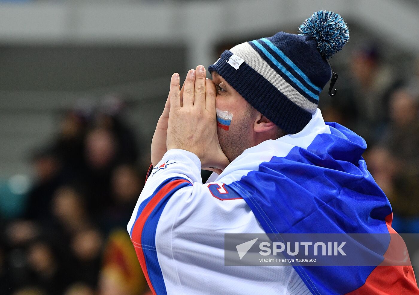2018 Winter Olympics. Ice hockey. Men. Final