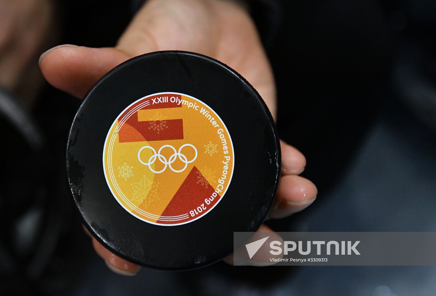 2018 Winter Olympics. Ice hockey. Men. Final