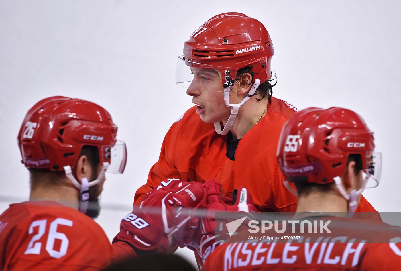 2018 Winter Olympics. Ice hockey. Men. Final