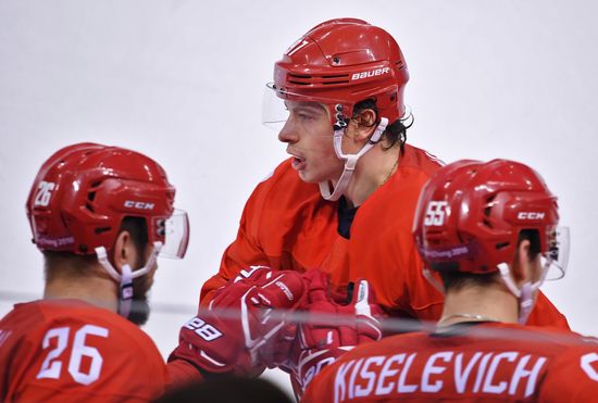 2018 Winter Olympics. Ice hockey. Men. Final