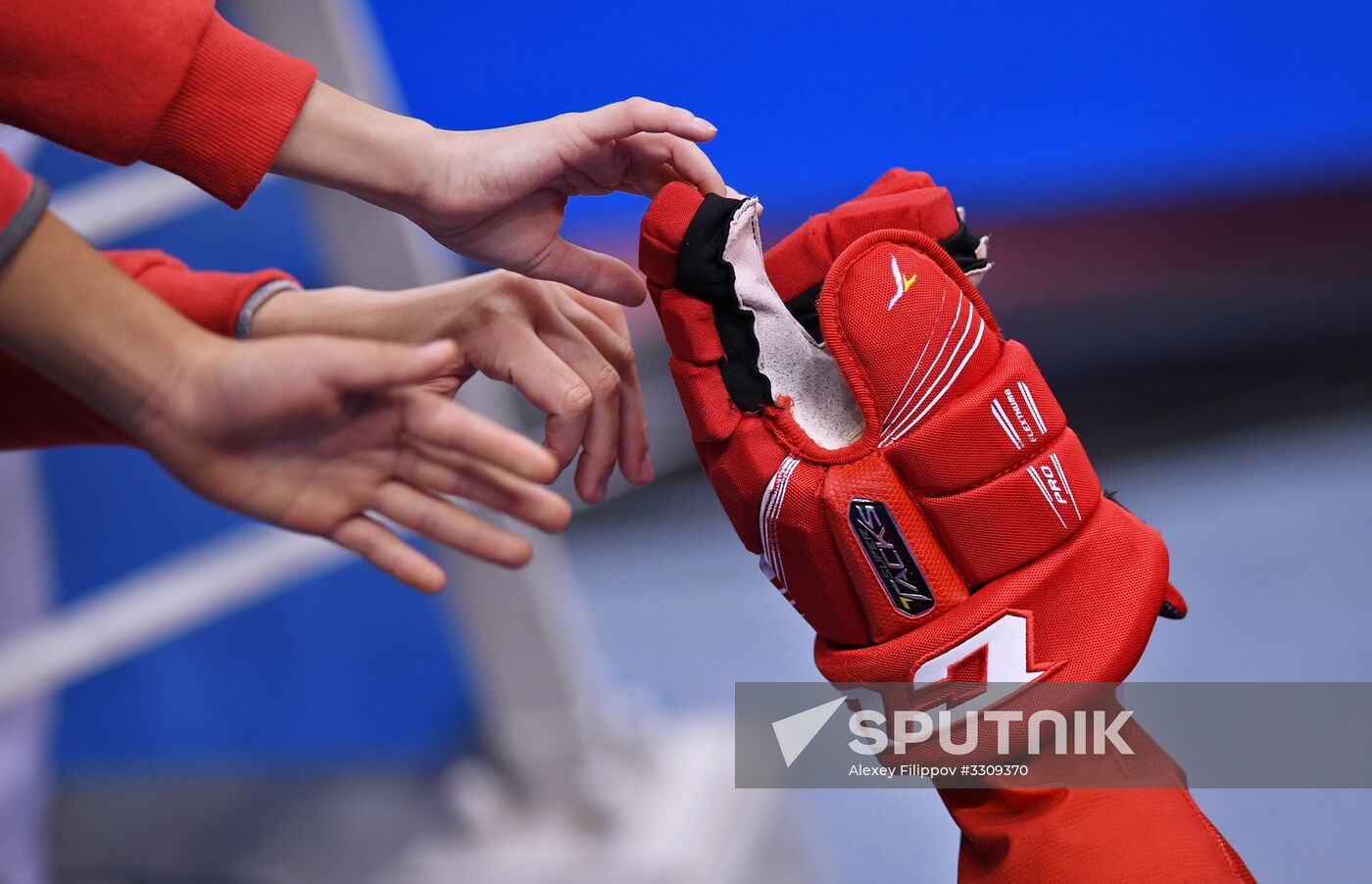 2018 Winter Olympics. Ice hockey. Men. Final