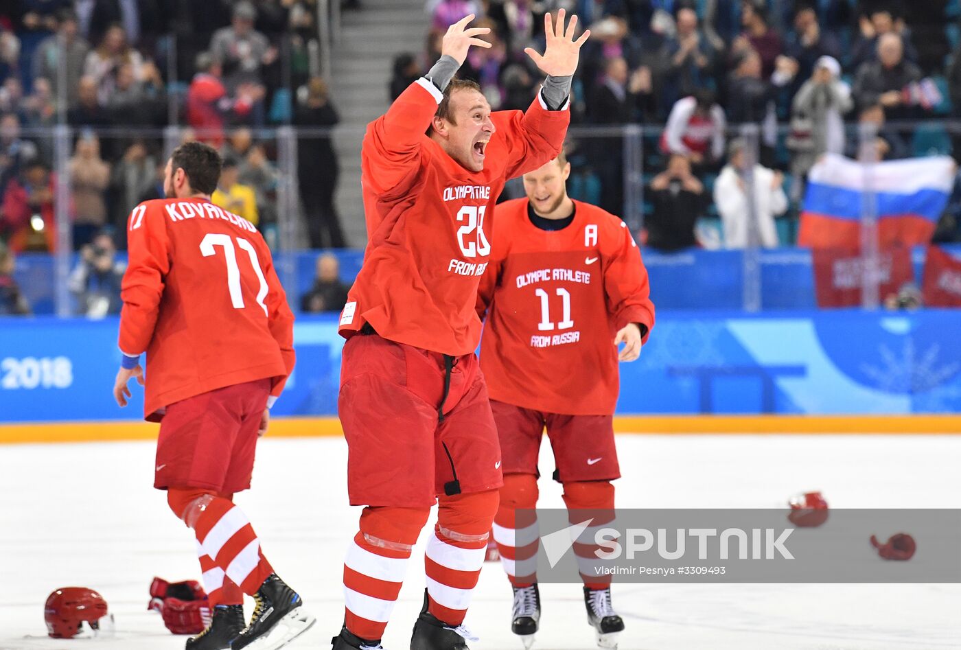 2018 Winter Olympics. Ice hockey. Men. Final