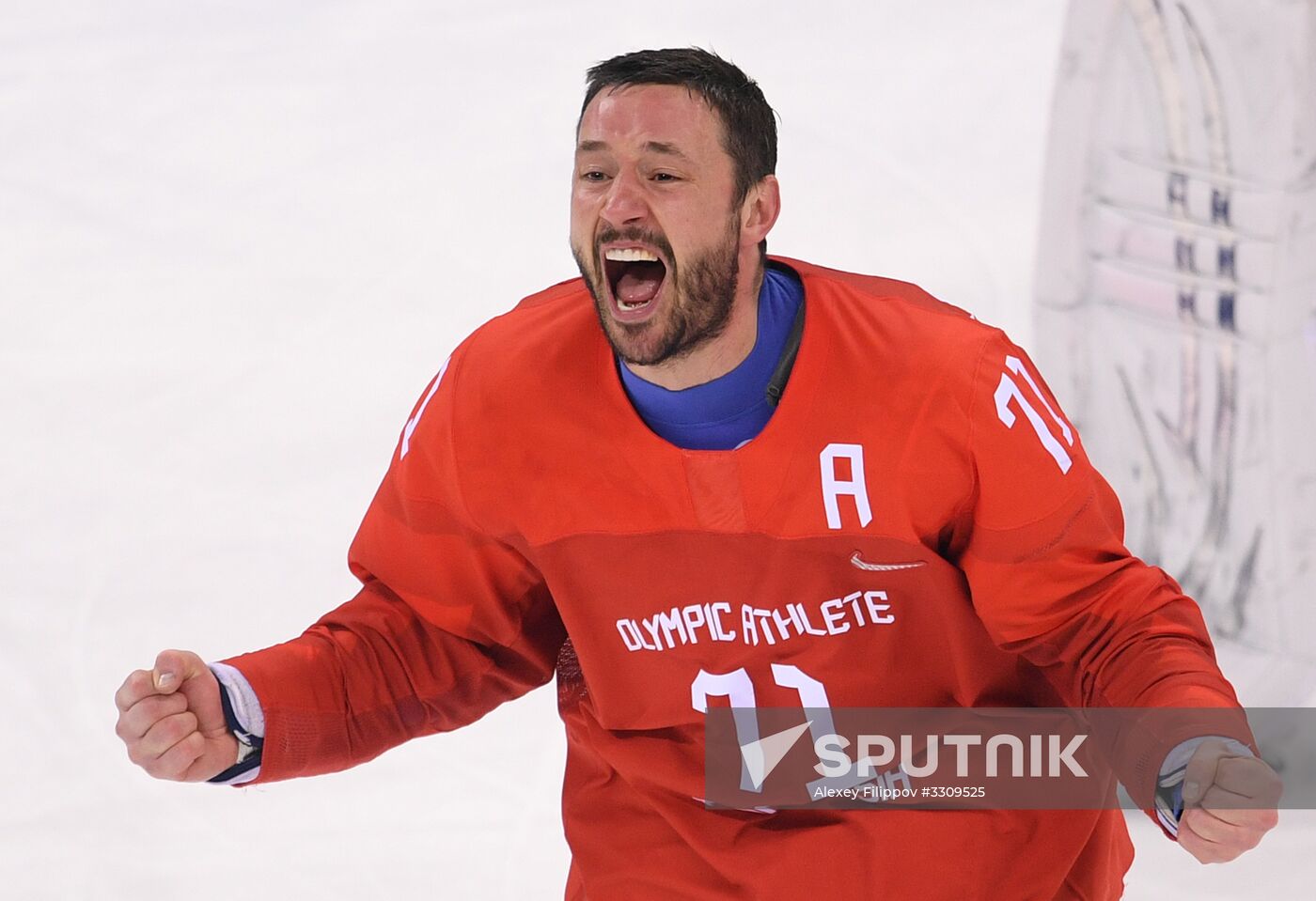 2018 Winter Olympics. Ice hockey. Men. Final