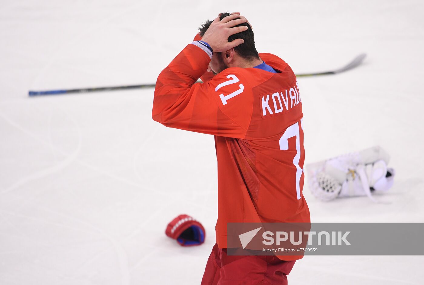 2018 Winter Olympics. Hockey. Men. Final