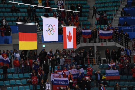 2018 Winter Olympics. Ice hockey. Men. Final