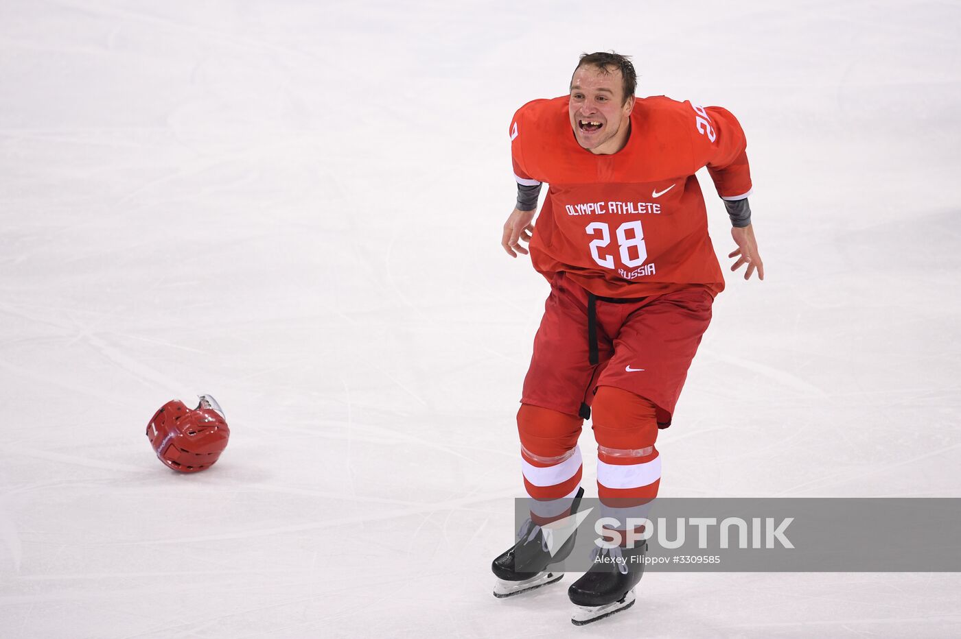 2018 Winter Olympics. Ice hockey. Men. Final