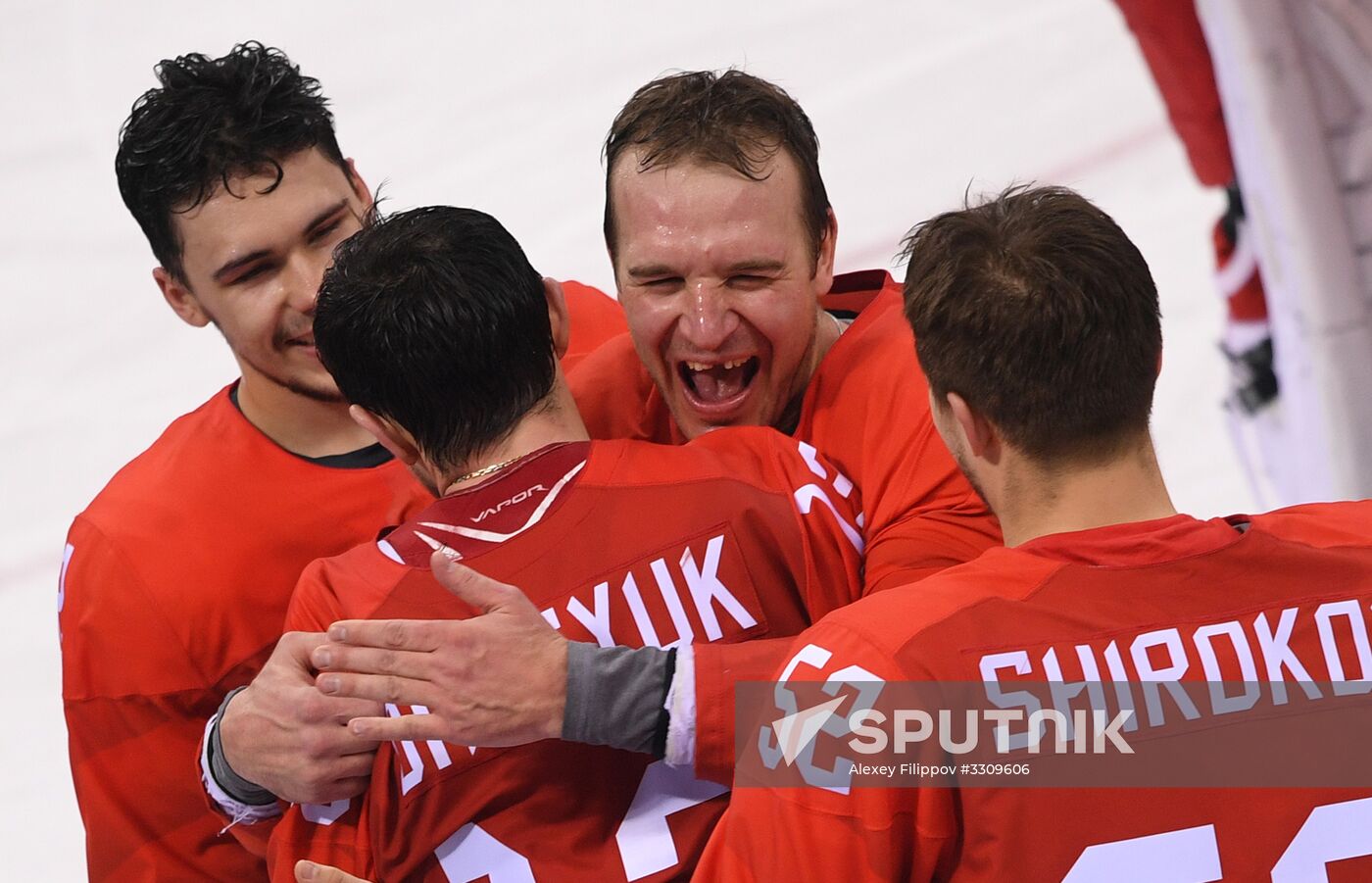 2018 Winter Olympics. Hockey. Men. Final