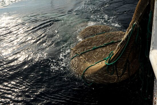 Yuzhno-Kurilsky Fish Factory