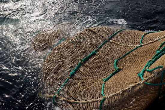 Yuzhno-Kurilsky Fish Factory