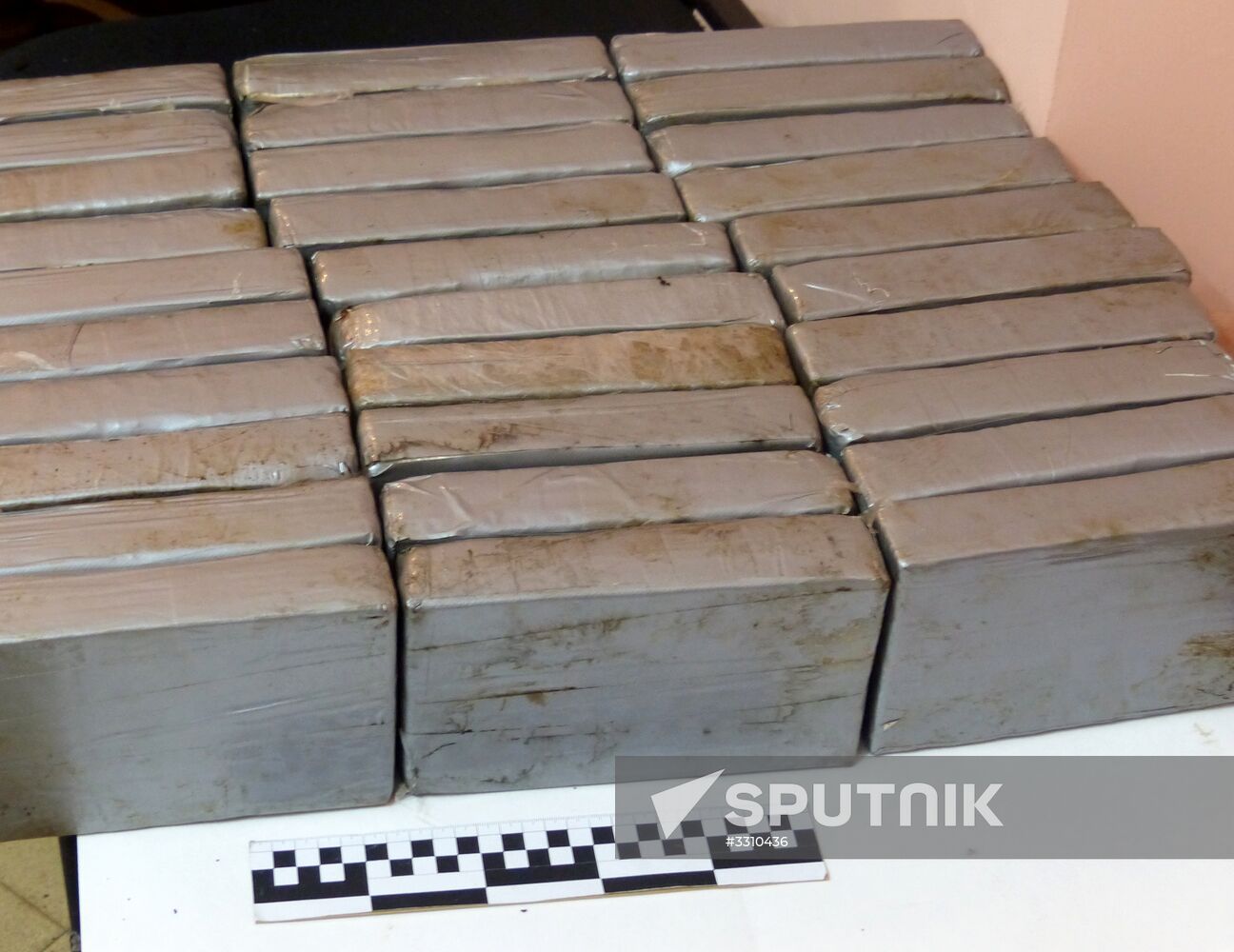 Russian, Argentian special services disclose operation to foil cocaine trafficking