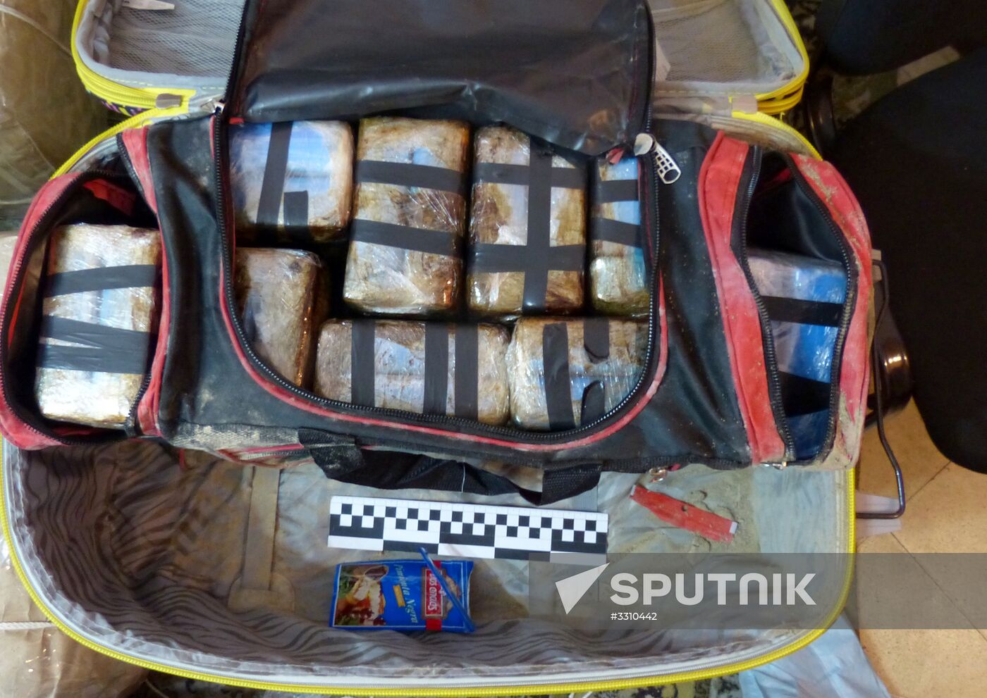 Russian, Argentian special services disclose operation to foil cocaine trafficking