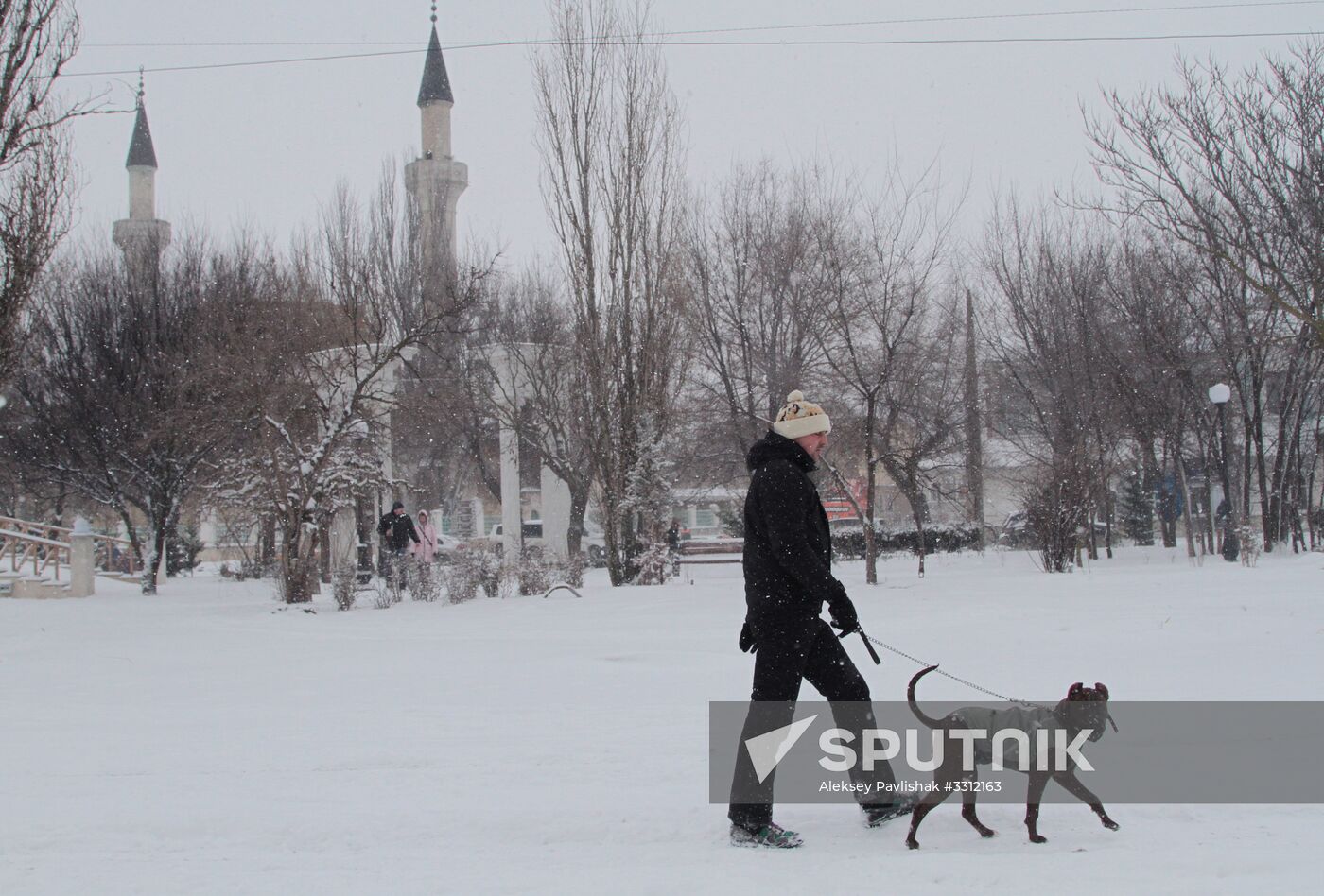 Snowfall in Crimea
