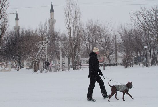 Snowfall in Crimea