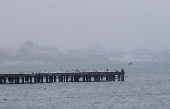 Snowfall in Crimea
