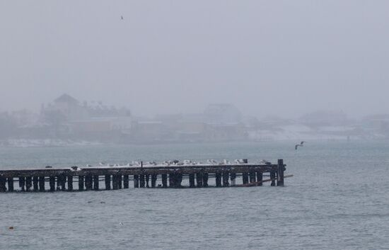 Snowfall in Crimea