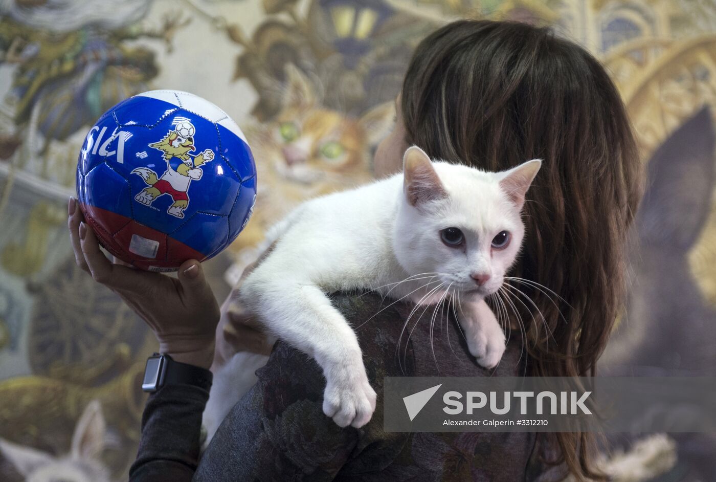 Achilles, 2018 FIFA World Cup oracle cat from Hermitage