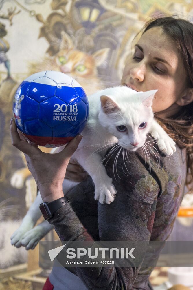 Achilles, 2018 FIFA World Cup oracle cat from Hermitage