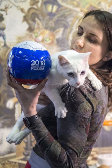 Achilles, 2018 FIFA World Cup oracle cat from Hermitage