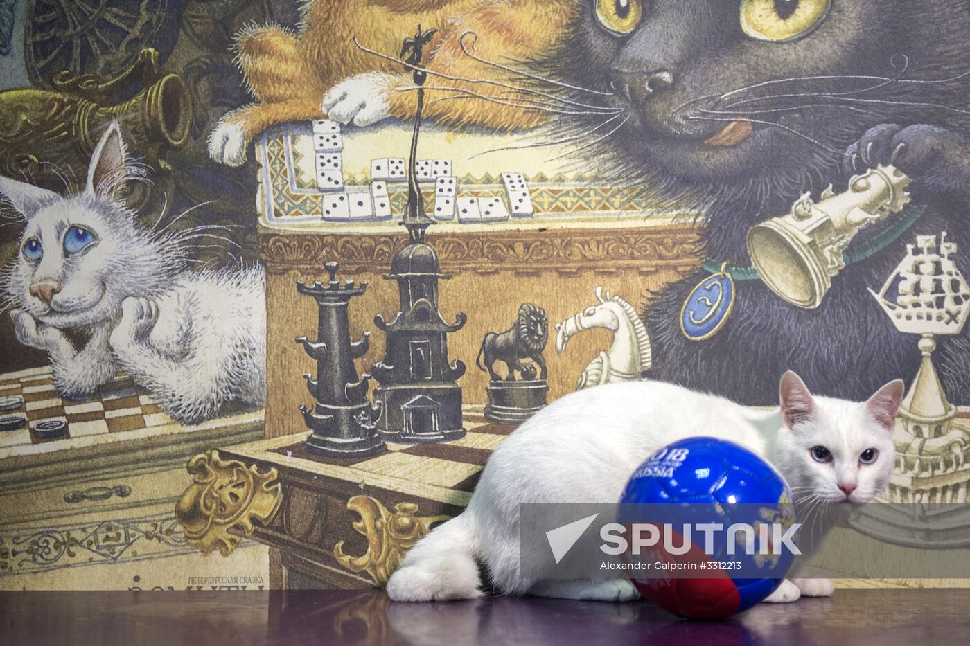 Achilles, 2018 FIFA World Cup oracle cat from Hermitage