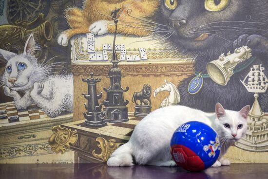 Achilles, 2018 FIFA World Cup oracle cat from Hermitage
