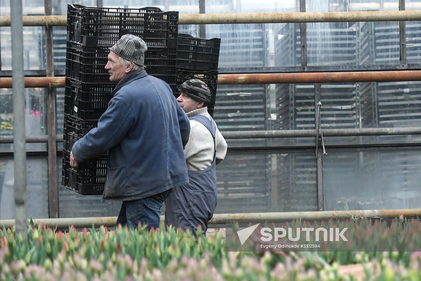 Flower farm in Moscow