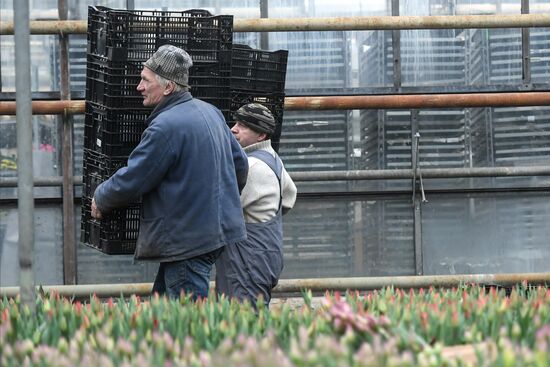 Flower farm in Moscow