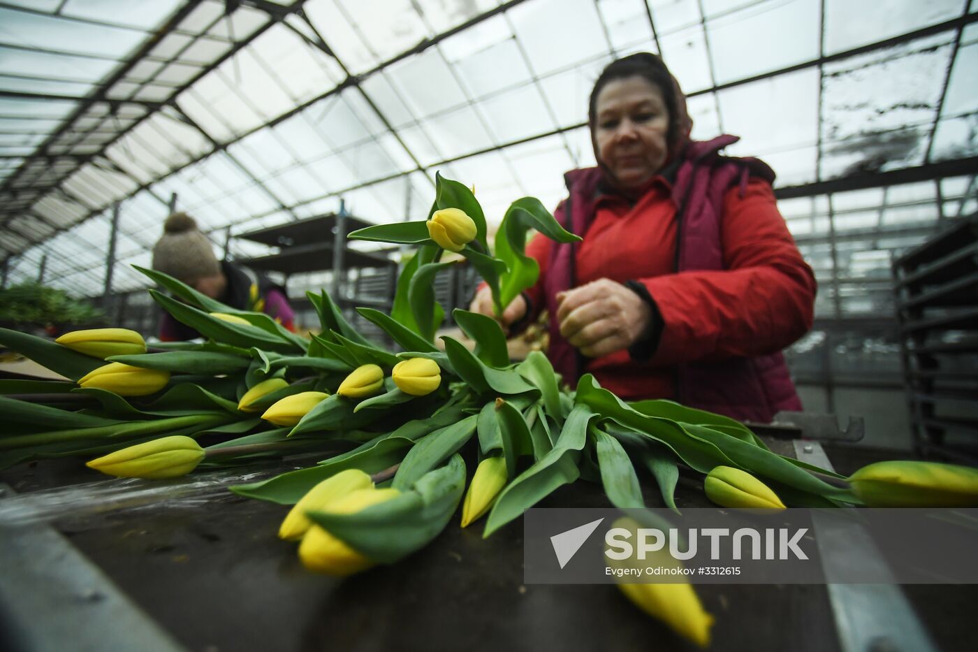 Flower farm in Moscow