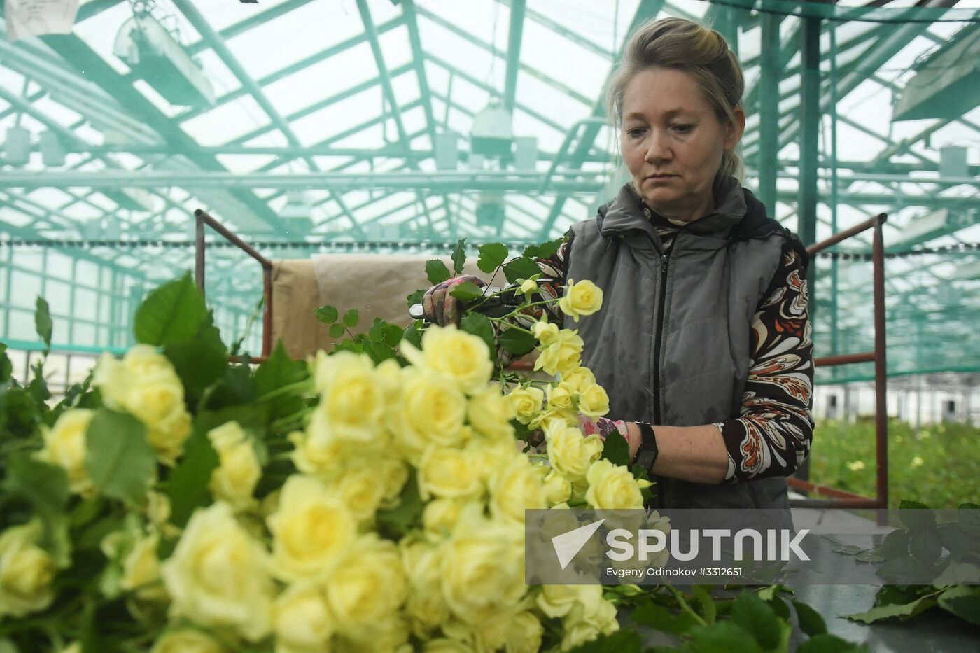 Flower farm in Moscow