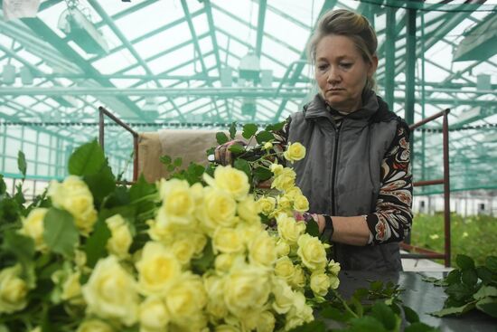 Flower farm in Moscow