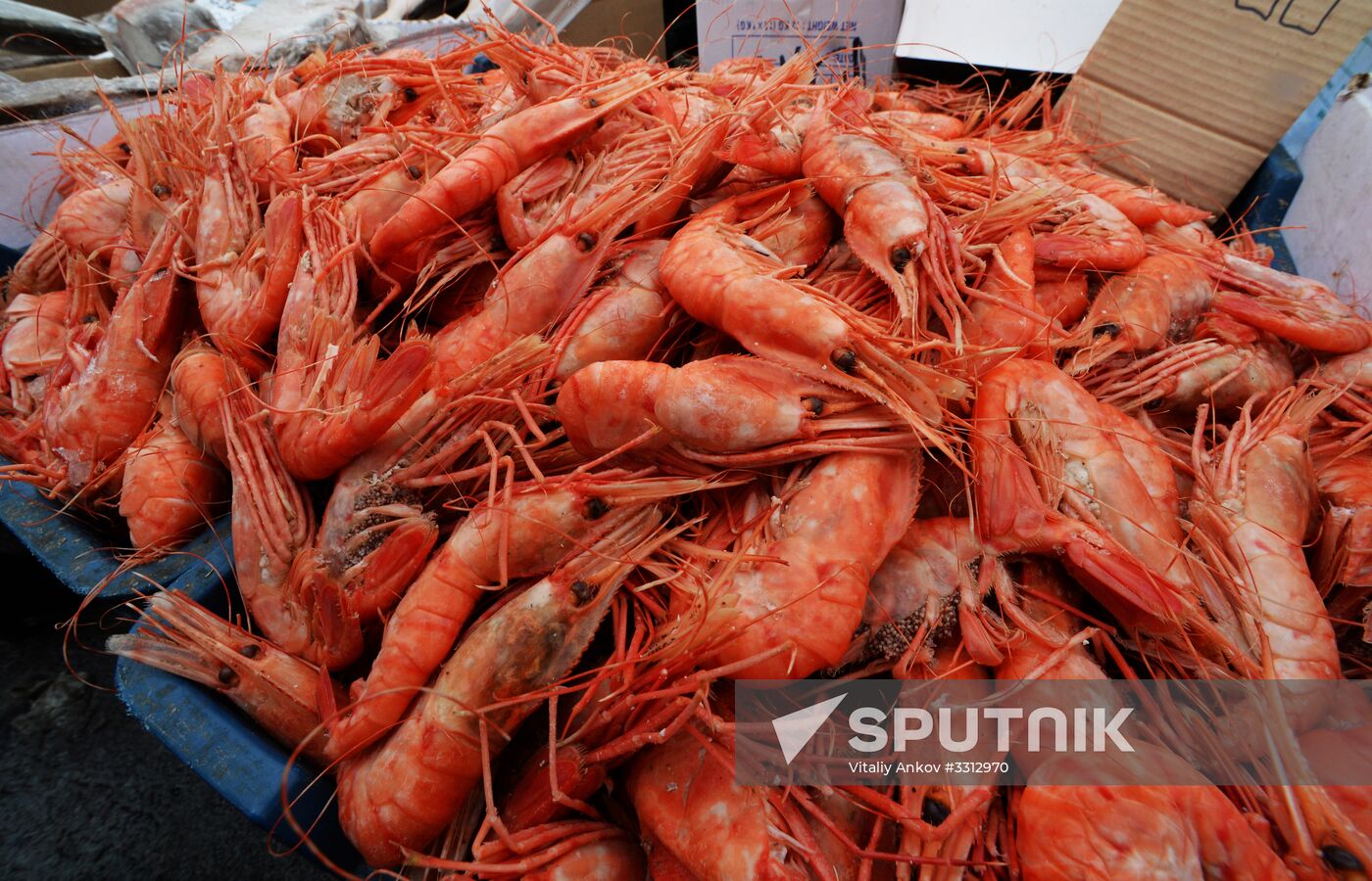 Food market in Vladivostok