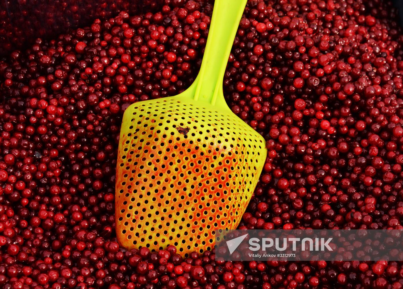 Food market in Vladivostok