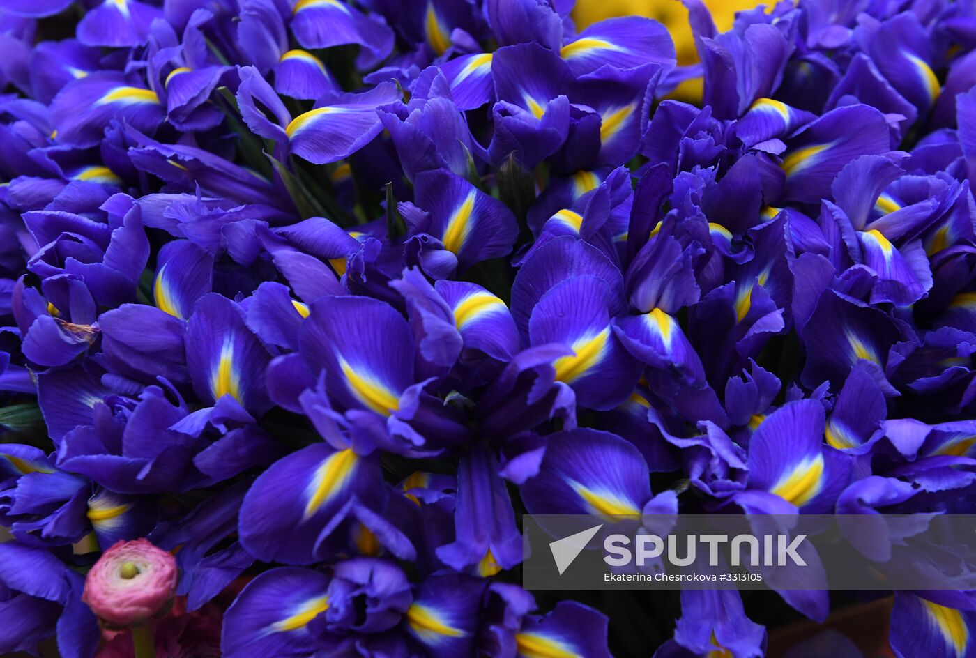 Spring flower bazaar in Petrovsky Passage