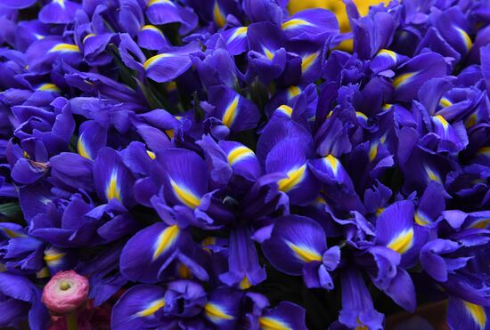 Spring flower bazaar in Petrovsky Passage