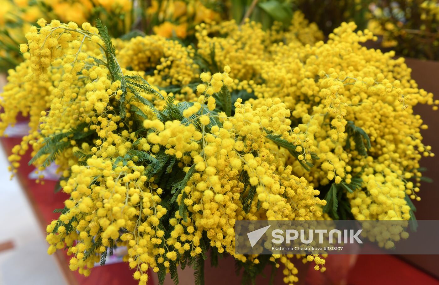 Spring flower bazaar in Petrovsky Passage