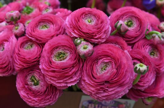 Spring flower bazaar in Petrovsky Passage