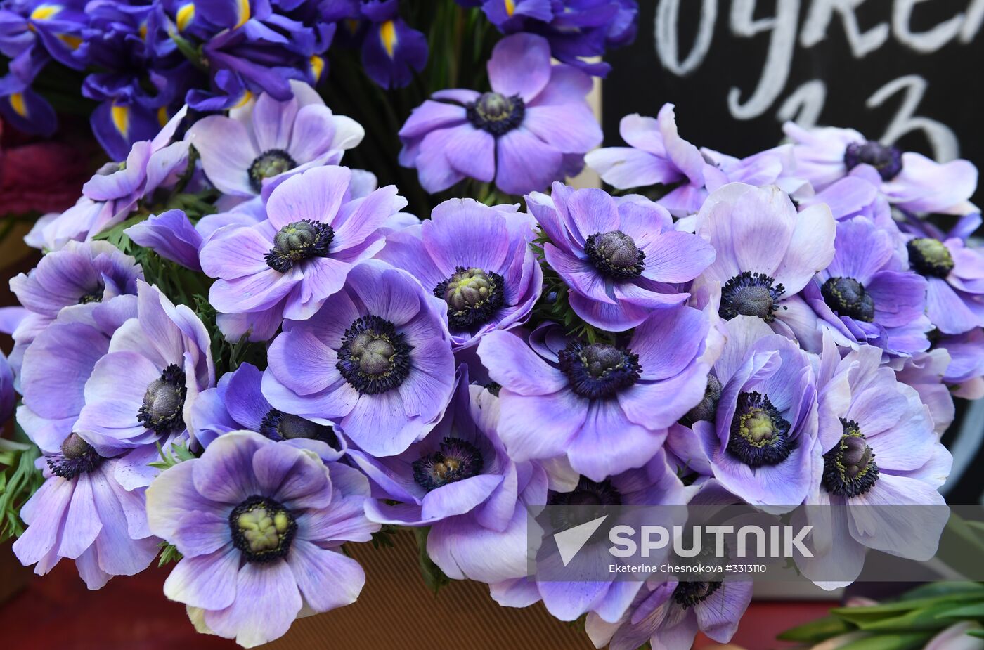 Spring flower bazaar in Petrovsky Passage