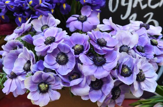 Spring flower bazaar in Petrovsky Passage