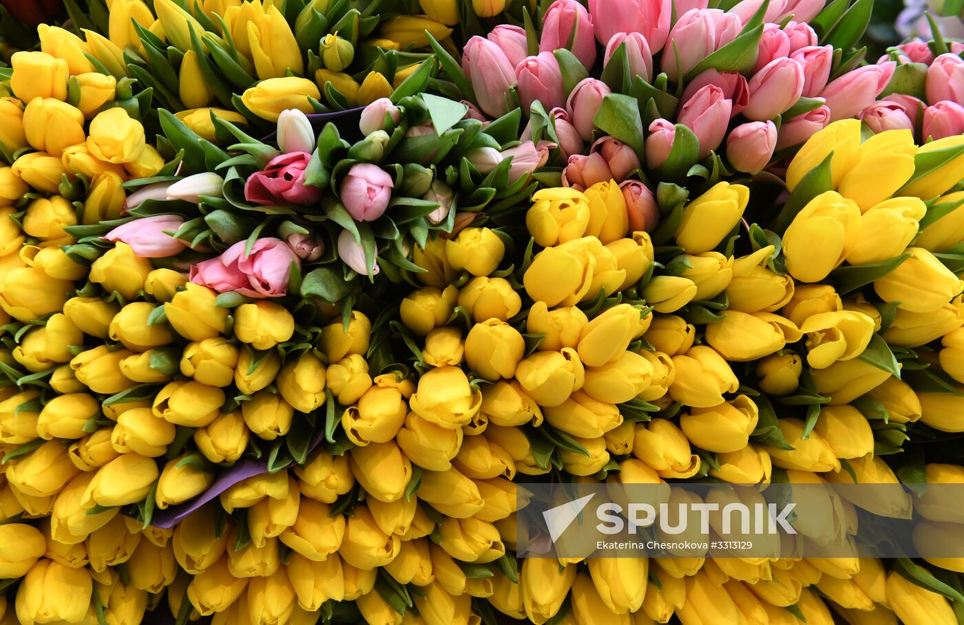 Spring flower bazaar in Petrovsky Passage