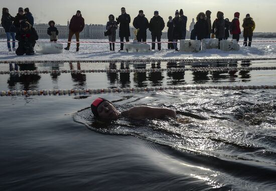 Big Neva Cup in winter swimming