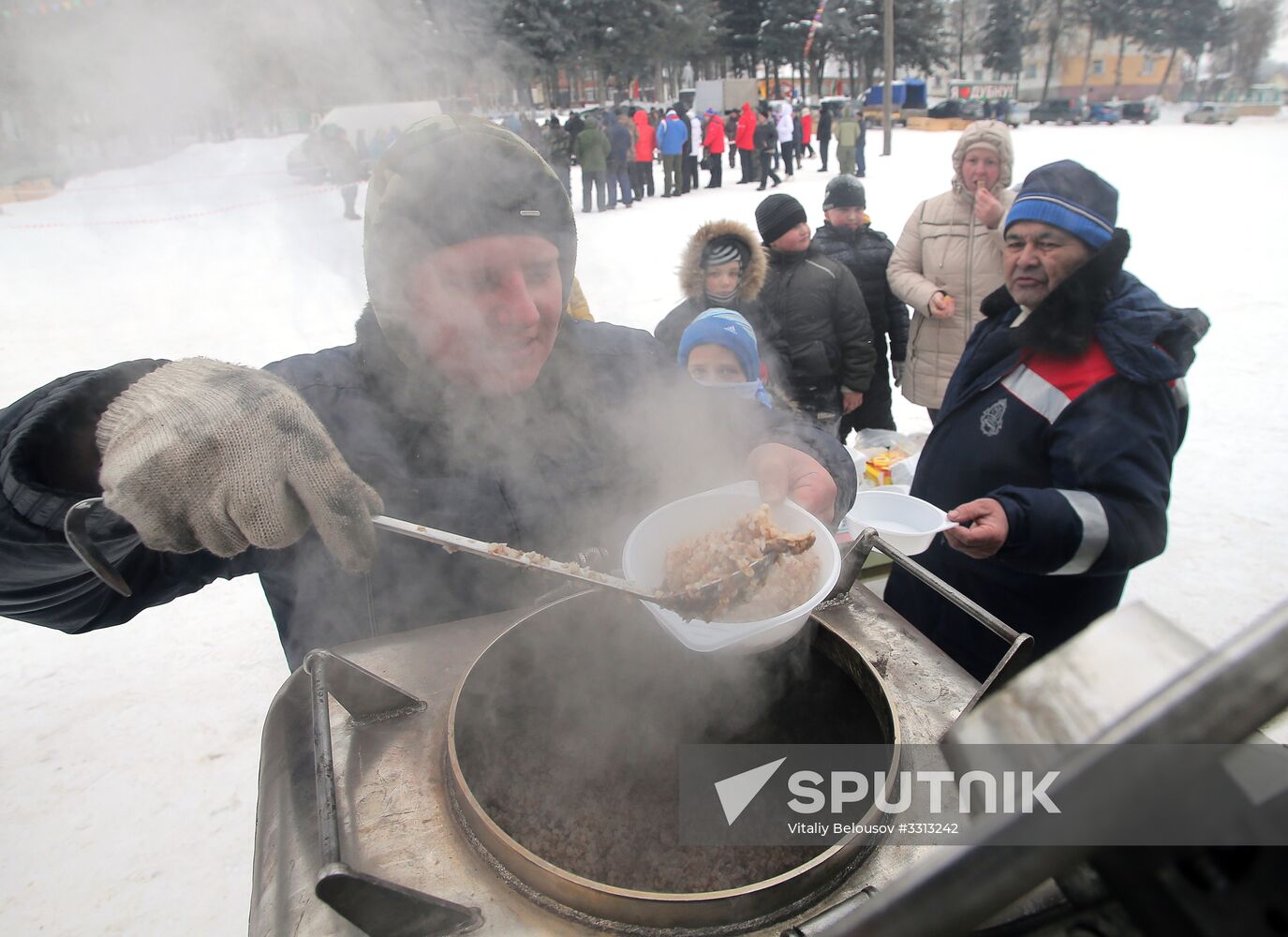 Goose fights in Tula Region