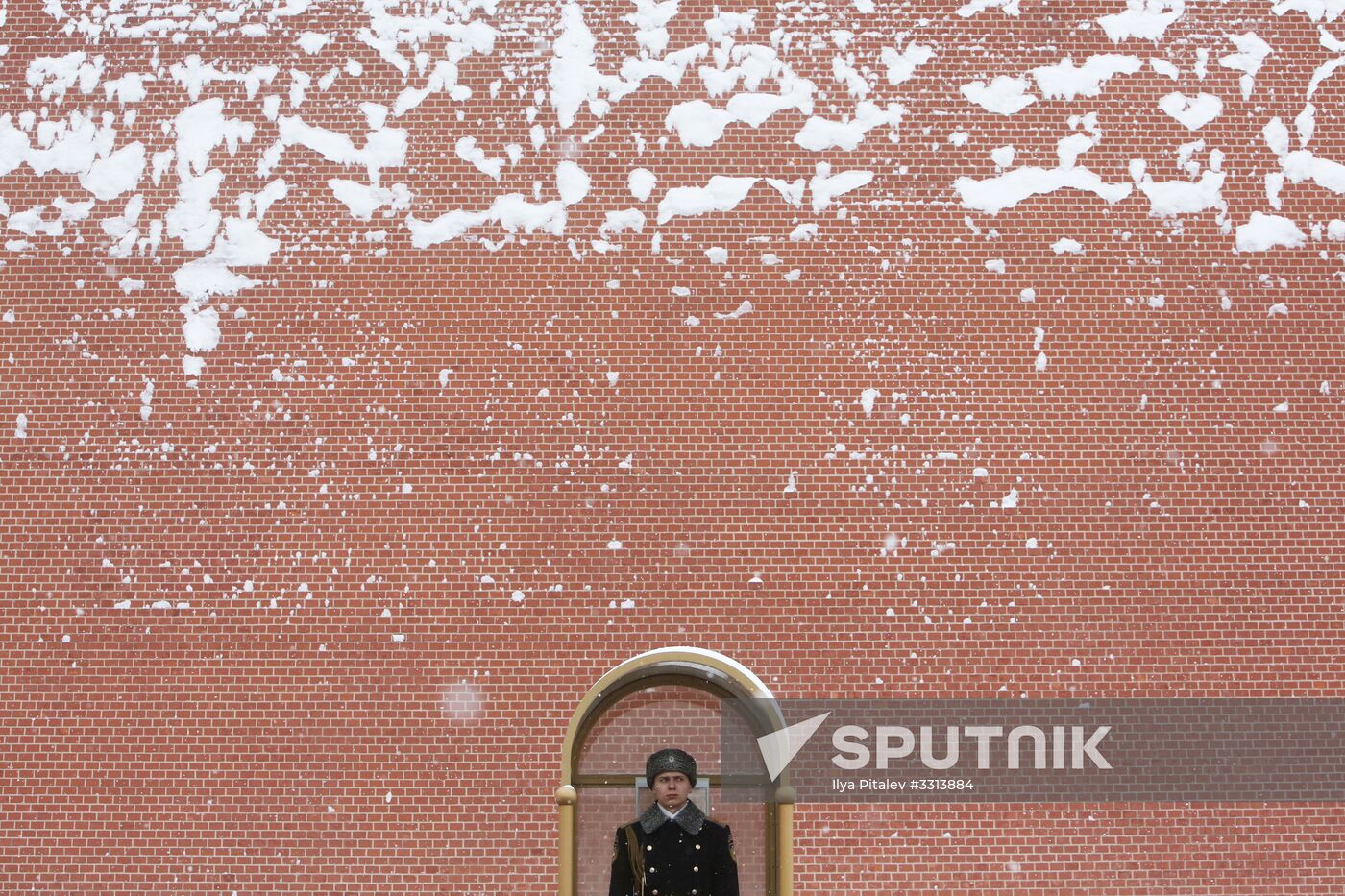 Snowfall in Moscow