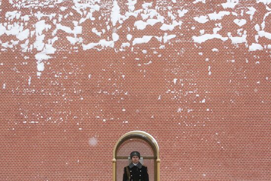 Snowfall in Moscow