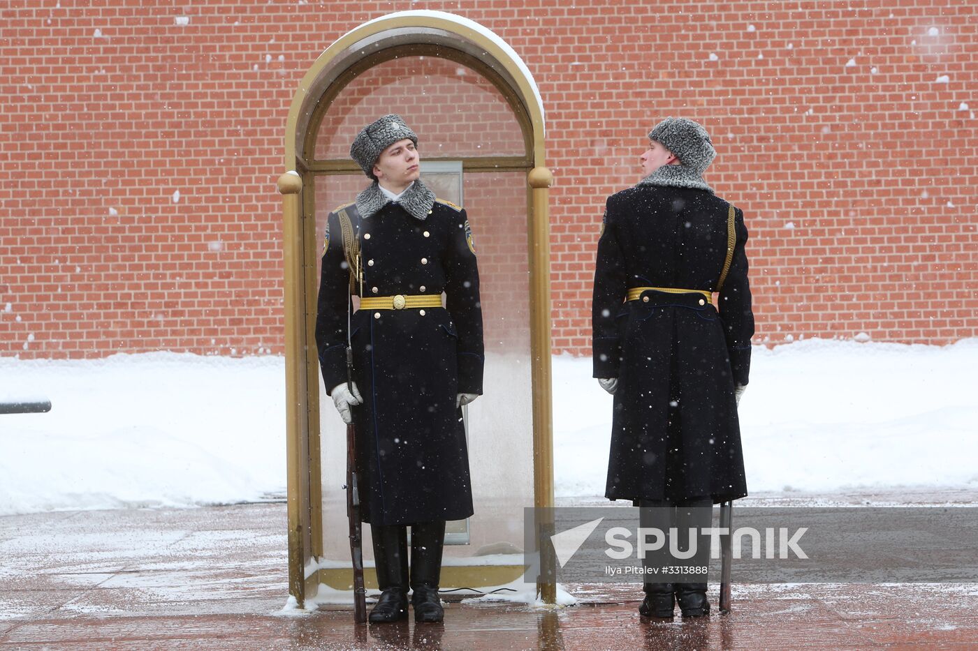 Snowfall in Moscow