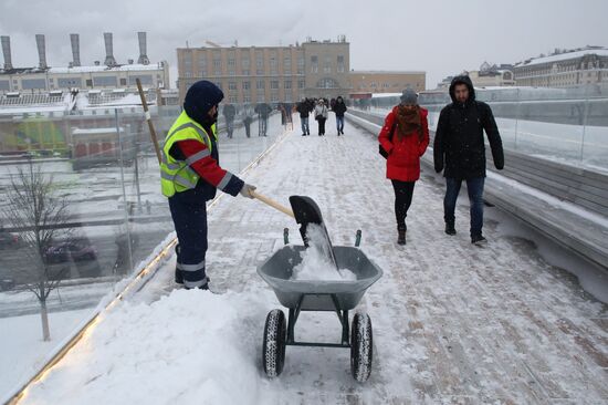 Snowfall in Moscow