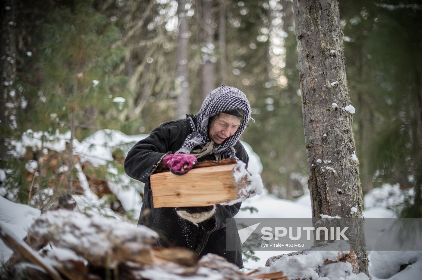 Agafia Lykova, Siberian hermitess