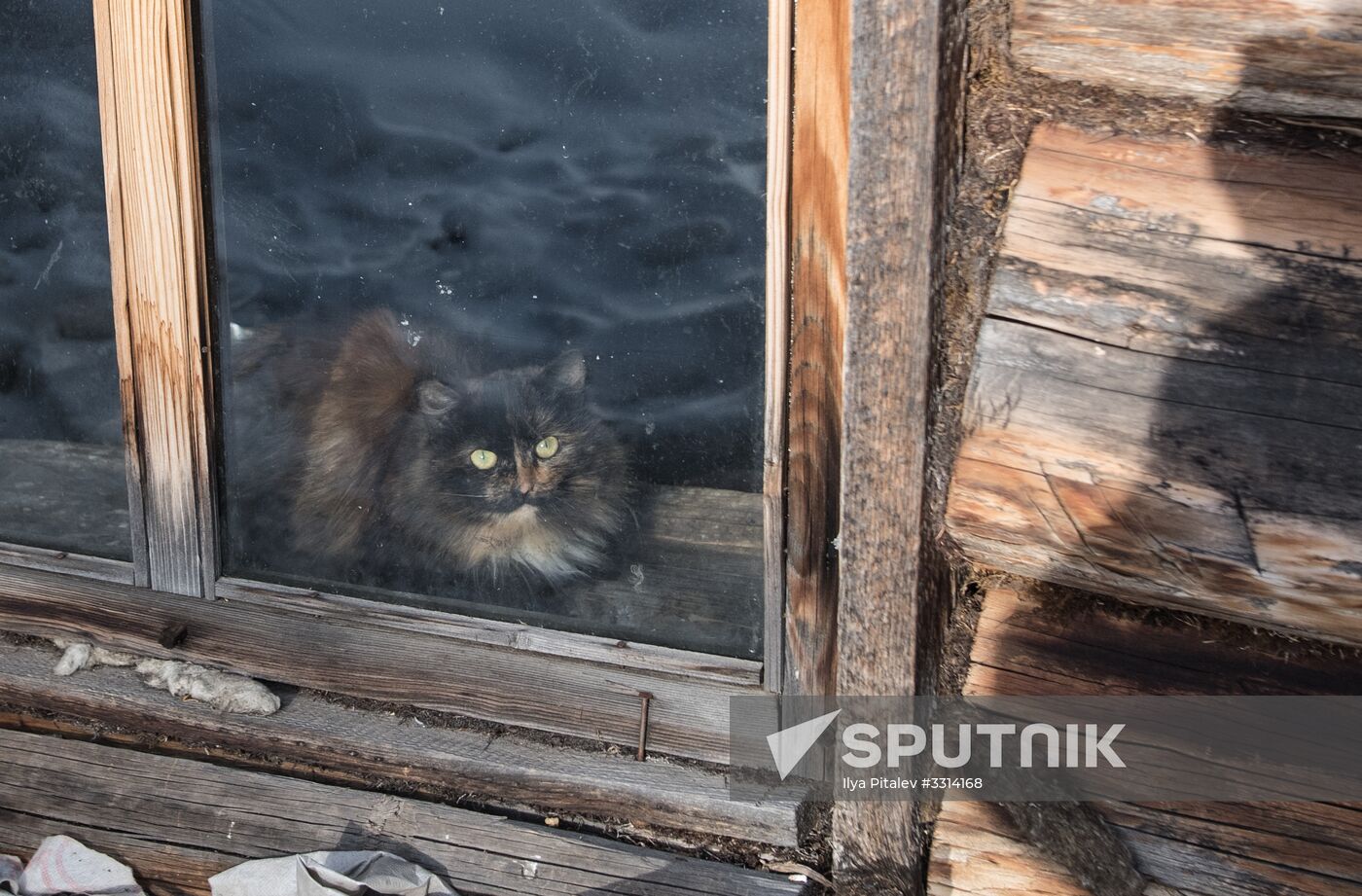 Agafia Lykova, Siberian hermitess