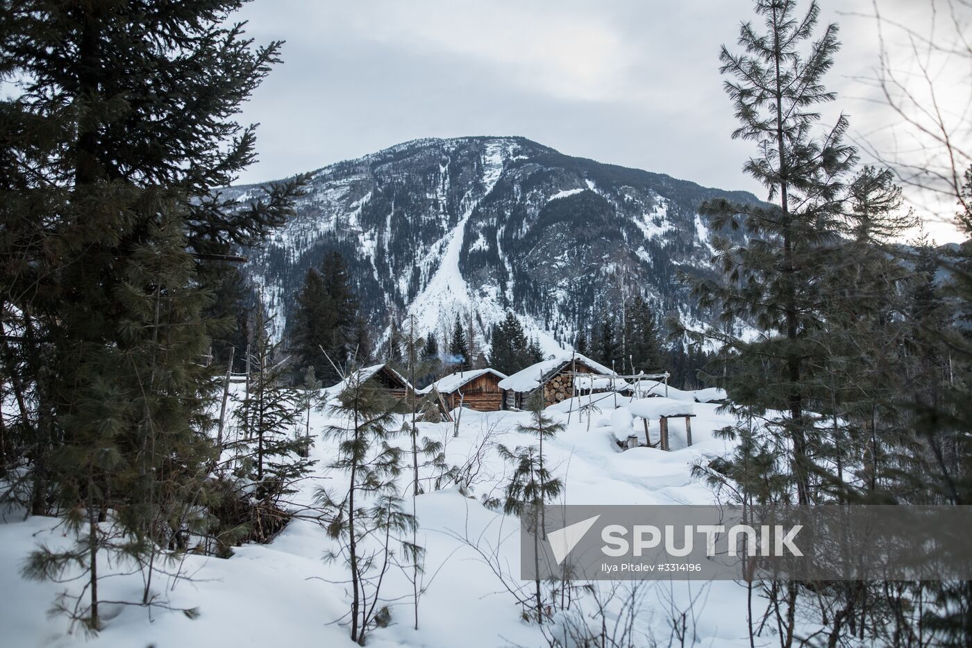 Agafia Lykova, Siberian hermitess